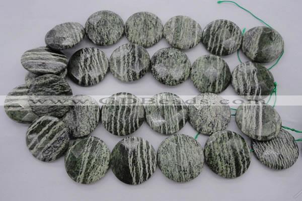 CSJ123 15.5 inches 30mm faceted coin green silver line jasper beads