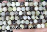 CSJ302 15.5 inches 8mm round serpentine new jade beads wholesale