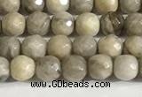 CSL156 15.5 inches 4mm faceted 

round sliver leaf jasper beads