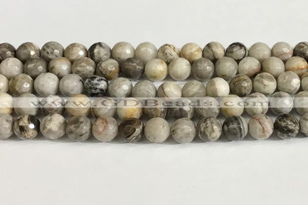 CSL159 15.5 inches 10mm faceted 

round sliver leaf jasper beads