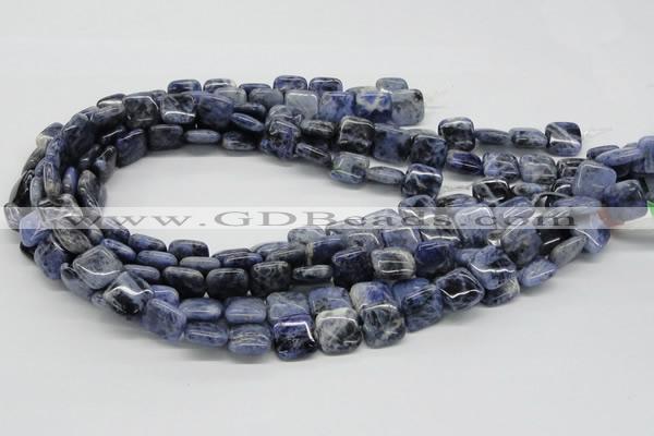 CSO44 15.5 inches 14*14mm square sodalite gemstone beads wholesale