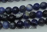 CSO60 15.5 inches 4mm round sodalite gemstone beads wholesale