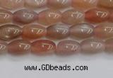 CSS265 15.5 inches 5*8mm rice sunstone beads wholesale