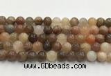 CSS772 15.5 inches 10mm round sunstone gemstone beads wholesale