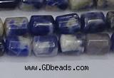 CTB715 15.5 inches 6*8mm tube white lace sodalite beads wholesale