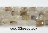 CTB872 13*25mm - 14*19mm faceted tube scenic quartz beads