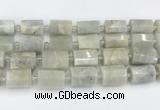 CTB876 13*25mm - 14*19mm faceted tube moonstone beads