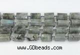 CTB878 13*25mm - 14*19mm faceted tube labradorite beads