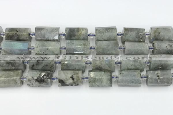 CTB878 13*25mm - 14*19mm faceted tube labradorite beads