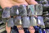 CTD2105 Top drilled 20*28mm - 22*32mm faceted freeform labradorite beads