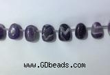 CTD2144 Top drilled 15*25mm - 18*25mm freeform dogtooth amethyst beads