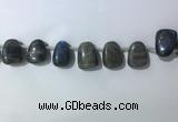 CTD2151 Top drilled 15*25mm - 18*25mm freeform labradorite beads