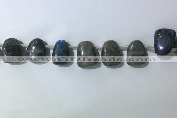 CTD2151 Top drilled 15*25mm - 18*25mm freeform labradorite beads