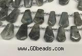 CTD2275 Top drilled 16*28mm - 20*30mm faceted freeform labradorite beads