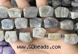 CTD2285 Top drilled 15*20mm - 17*23mm freeform labradorite beads