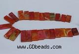 CTD2666 Top drilled 14*27mm - 16*42mm rectangle agate jasper beads