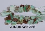 CTD2885 Top drilled 15*20mm - 25*45mm freeform australia chrysoprase beads