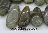 CTD3531 Top drilled 10*22mm - 15*45mm freeform labradorite beads