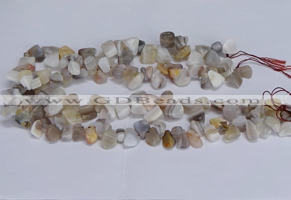 CTD3609 Top drilled 10*14mm - 13*18mm nuggets botswana agate beads