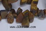 CTD3616 Top drilled 10*14mm - 13*18mm nuggets yellow tiger eye beads