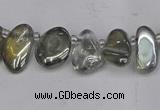 CTD3672 Top drilled 5*8mm - 10*14mm freeform plated white crystal beads