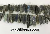 CTD3739 Top drilled 8*20mm - 10*50mm sticks labradorite beads