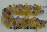 CTD419 Top drilled 10*20mm - 15*35mm nuggets amethyst & citrine beads