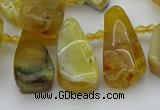 CTD487 Top drilled 10*22mm - 15*45mm freeform yellow opal beads