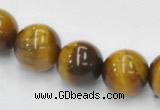 CTE08 15.5 inches 12mm round yellow tiger eye beads Wholesale