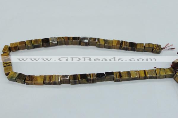 CTE121 15.5 inches 10*10mm cube yellow tiger eye beads wholesale