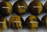 CTE1223 15.5 inches 16mm round AB+ grade yellow tiger eye beads