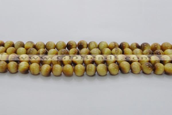 CTE1403 15.5 inches 10mm round golden tiger eye beads wholesale