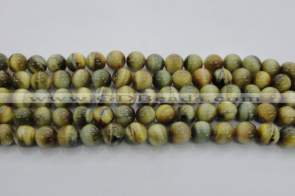 CTE1442 15.5 inches 8mm round golden & blue tiger eye beads