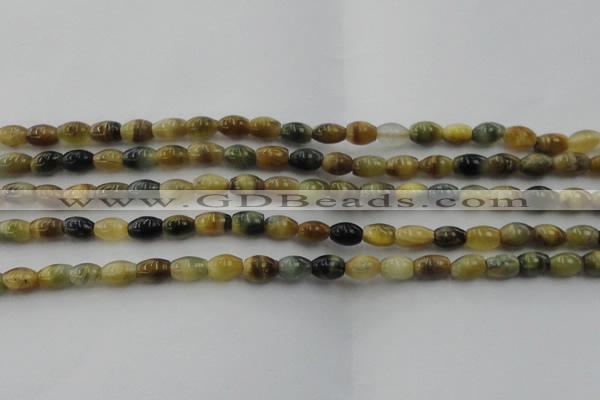 CTE1551 15.5 inches 5*8mm rice golden & blue tiger eye beads wholesale