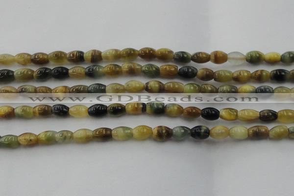 CTE1552 15.5 inches 6*10mm rice golden & blue tiger eye beads wholesale