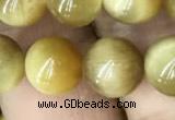 CTE2010 15.5 inches 10mm round golden tiger eye beads wholesale