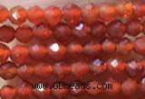 CTG1004 15.5 inches 2mm faceted round tiny red agate beads