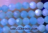 CTG1050 15.5 inches 2mm faceted round tiny amazonite beads