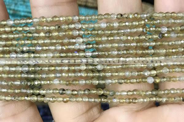 CTG1077 15.5 inches 2mm faceted round tiny labradorite beads