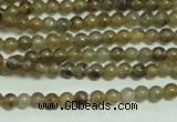 CTG133 15.5 inches 3mm round tiny labradorite gemstone beads wholesale