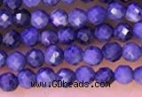 CTG1333 15.5 inches 2mm faceted round sapphire beads wholesale