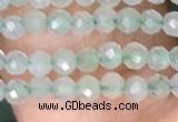 CTG1410 15.5 inches 2mm faceted round prehnite beads wholesale