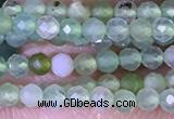 CTG1414 15.5 inches 2mm faceted round Australia chrysoprase beads