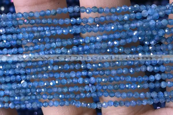 CTG1417 15.5 inches 2mm faceted round apatite beads wholesale