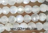 CTG1480 15.5 inches 3mm faceted round white moonstone beads