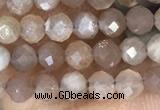 CTG1503 15.5 inches 3mm faceted round moonstone gemstone beads