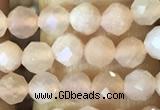 CTG1544 15.5 inches 4mm faceted round moonstone beads wholesale