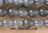 CTG1582 15.5 inches 4mm round grey moonstone beads wholesale