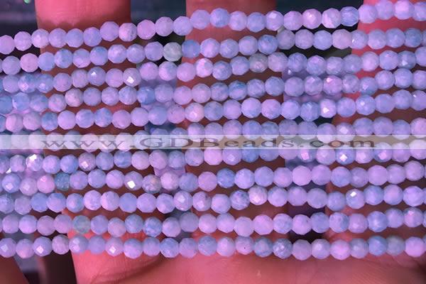 CTG1625 15.5 inches 2.5mm faceted round tiny amazonite beads