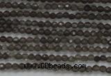 CTG200 15.5 inches 2mm faceted round tiny smoky quartz beads